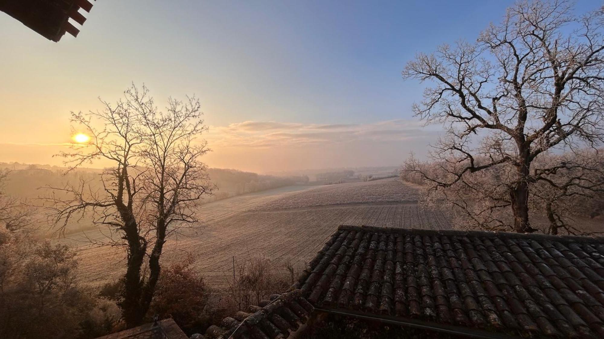 Chambres D'Hotes Dans Un Chateau Au Coeur De La Toscane Occitane Albi-Cordes-Rabastens Senouillac Esterno foto
